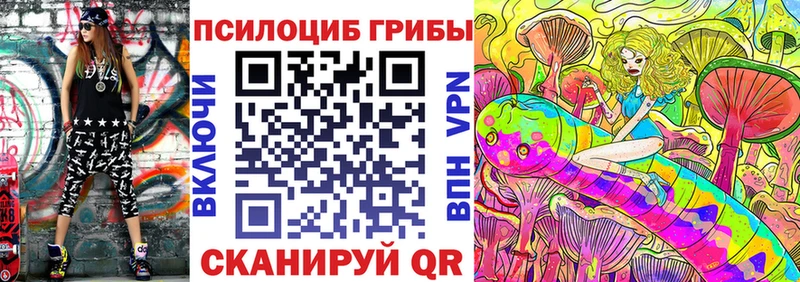 Купить где  Киржач  Псилоцибиновые грибы мухоморы 